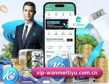 完美体育官网入口 APP 深度功能
